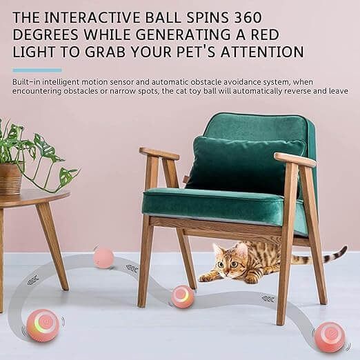 Cat Toy Ball Intelligent Funny Cat Ball 360 Degree (Pack of - 1) - Wuflly