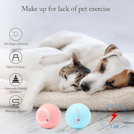 Cat Toy Ball Intelligent Funny Cat Ball 360 Degree (Pack of - 1) - Wuflly