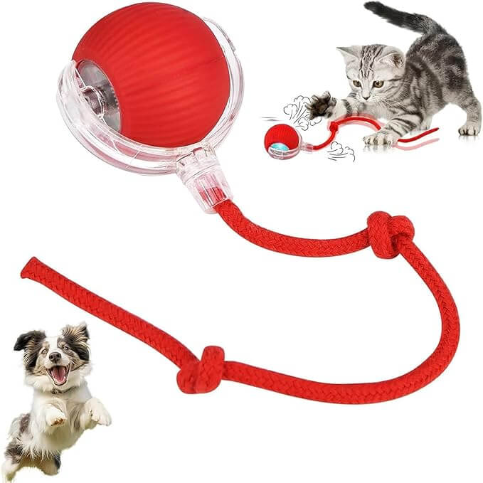 Cat Toy - Cat Toys for Indoor Cats Smart Chewy Viral Rolling Ball with Tail, Bird Sound, USB Rechargeable Automatic Rotating Ball - Wuflly