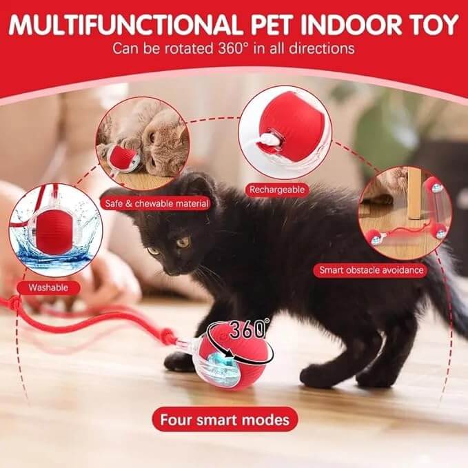 Cat Toy - Cat Toys for Indoor Cats Smart Chewy Viral Rolling Ball with Tail, Bird Sound, USB Rechargeable Automatic Rotating Ball - Wuflly