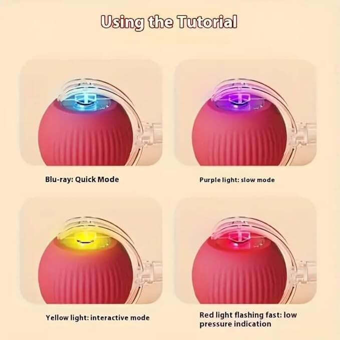 Cat Toy - Cat Toys for Indoor Cats Smart Chewy Viral Rolling Ball with Tail, Bird Sound, USB Rechargeable Automatic Rotating Ball - Wuflly
