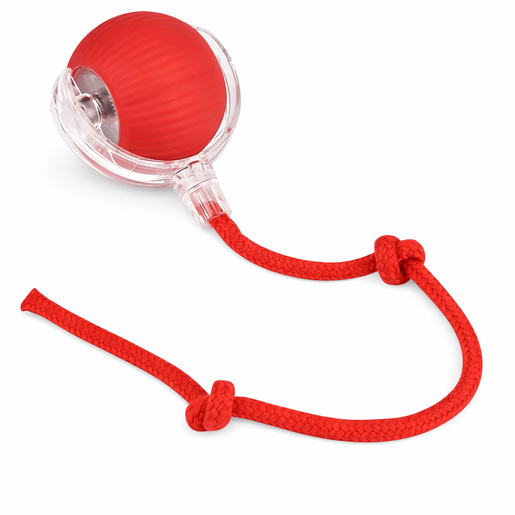 Smart Play Toy for Cats & Dogs - Wuflly