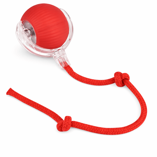 Smart Play Toy for Cats & Dogs - Wuflly